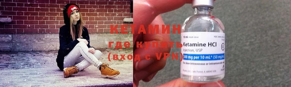 индика Верея