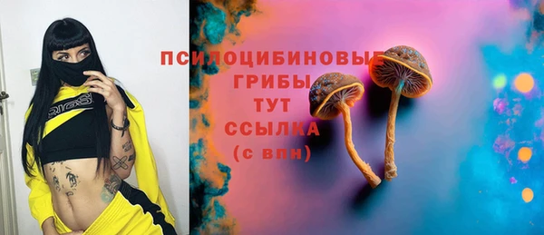 индика Верея