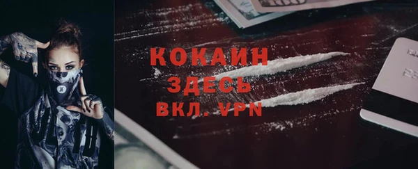 индика Верея