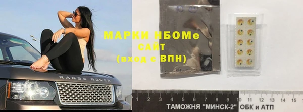 индика Верея