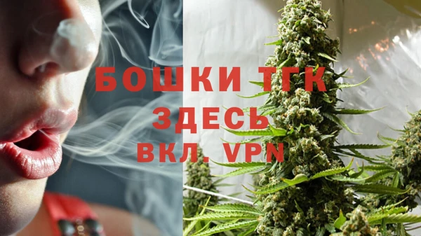 индика Верея
