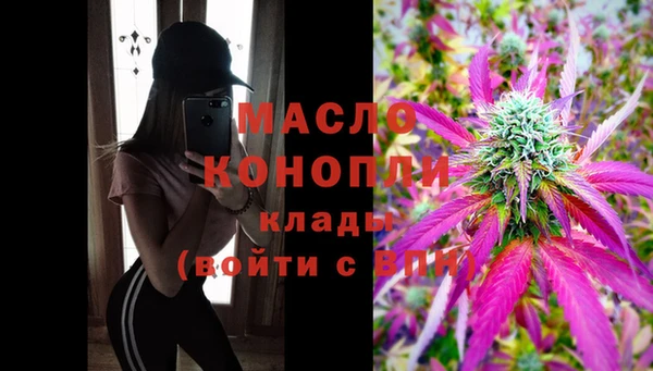 индика Верея