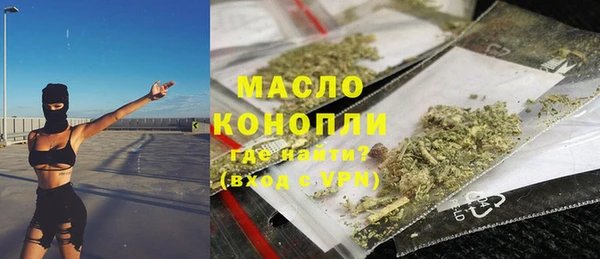 индика Верея