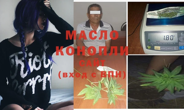 индика Верея