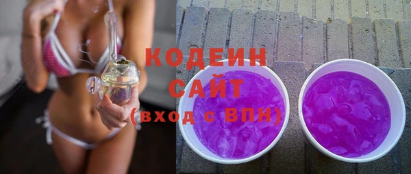 индика Верея