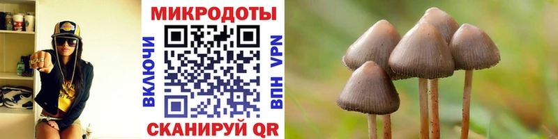 Псилоцибиновые грибы MAGIC MUSHROOMS Альметьевск